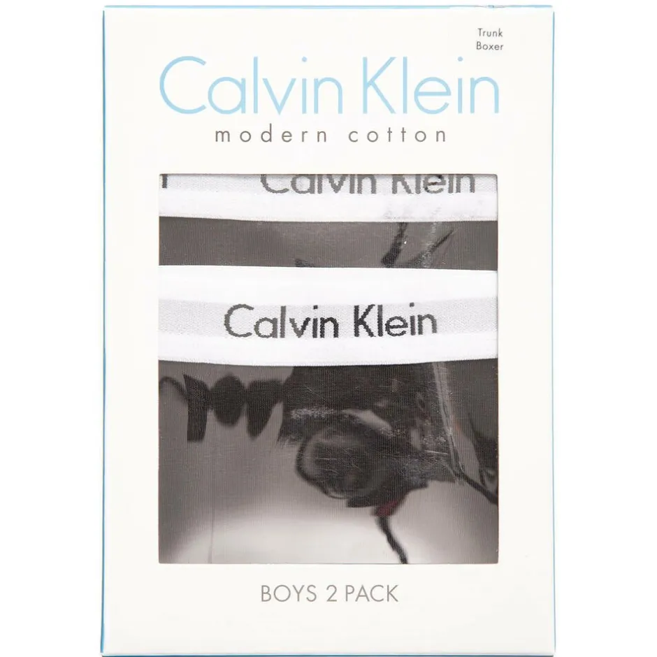 Calvin Klein Boys Black Cotton Boxer Briefs (Pack of 2)