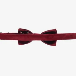Romano Boys Dark Red Satin Bow Tie (10cm) Best