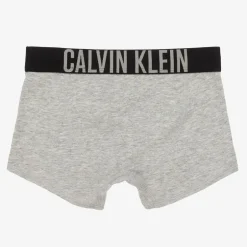 Calvin Klein Boys Grey & Blue Cotton Boxers (2 Pack) Best