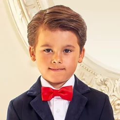 Romano Boys Red Satin Bow Tie (10cm) Online