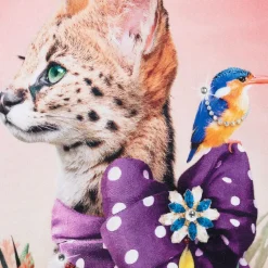 Molo Girls Pink Cotton Fancy Cat Sweatshirt Hot