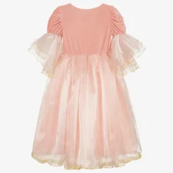 Souza Girls Pink Organza Princess Dress Costume New