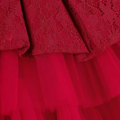 Beau KiD Girls Red Lace & Tulle Dress