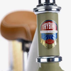 Trybike Green 2-in-1 Trike Outlet