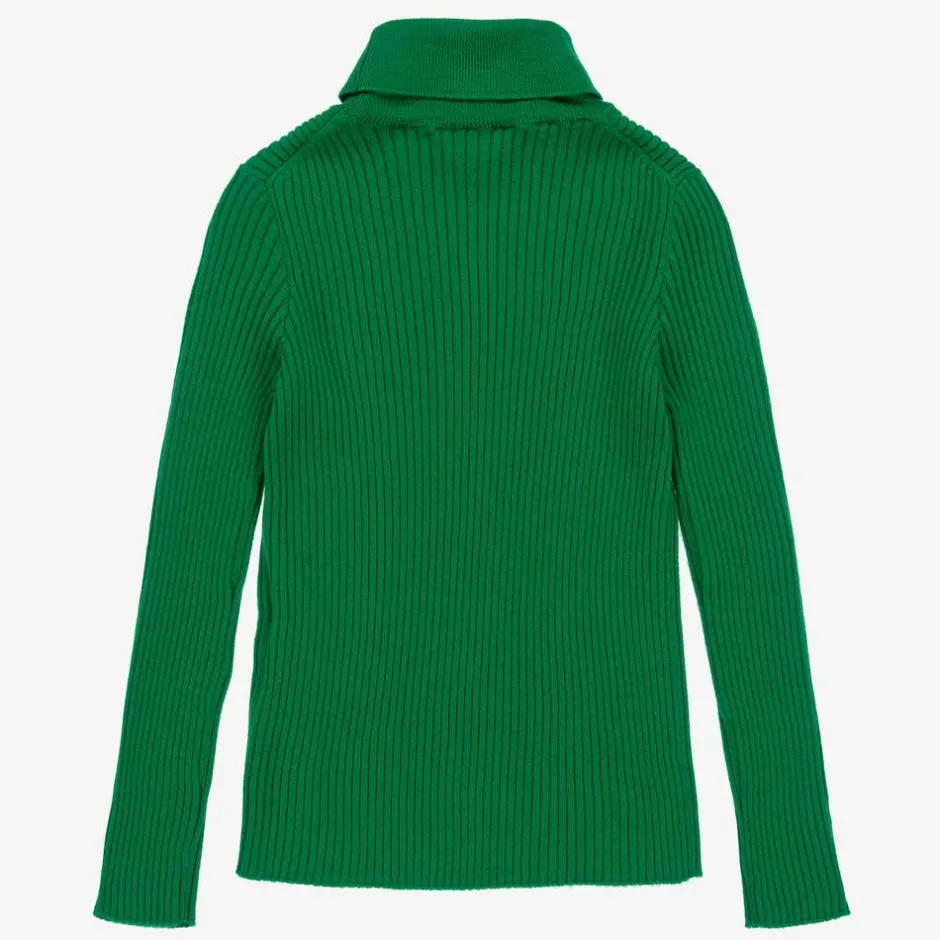 Gucci Green Ribbed Wool Roll Neck Sweater Online