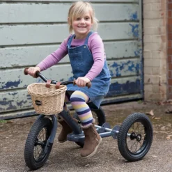 Trybike Grey 2-in-1 Trike Online